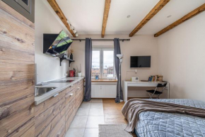 Lacplesa loft-style residence, Riga